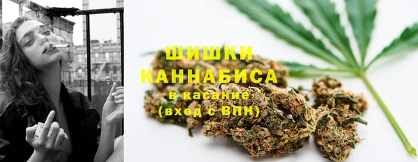 mdpv Богданович
