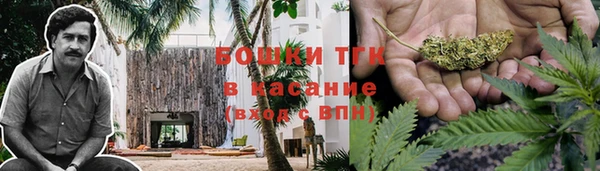 хмурый Богородск