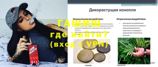 хмурый Богородск